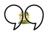 Inicio comas para parrafo de web